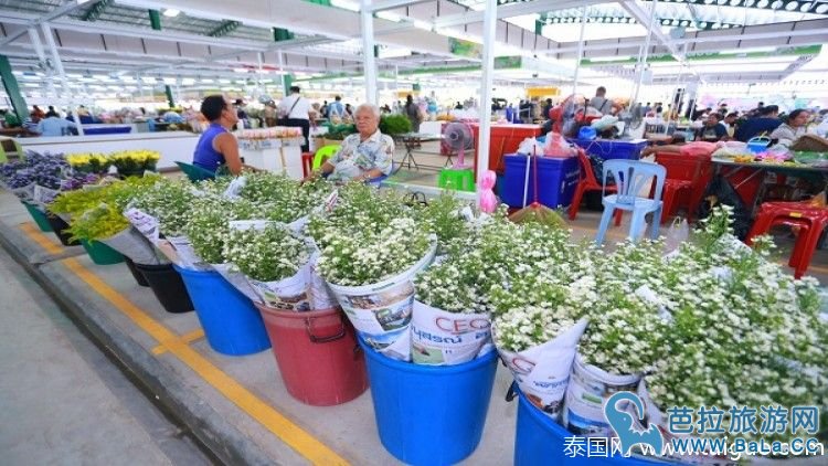 泰国最大鲜花交易市场新河口花卉市场开幕