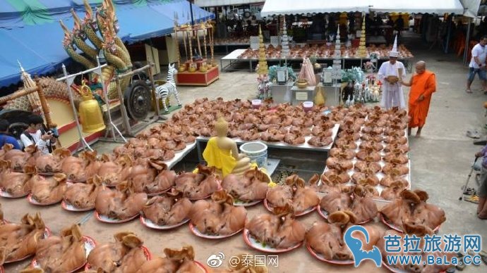 泰国佛统府300个猪头和20万现金摆满寺庙