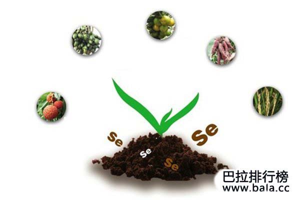 补硒保健品十大排行榜_巴拉排行榜