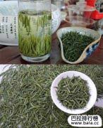中国绿茶十大知名品牌排行榜