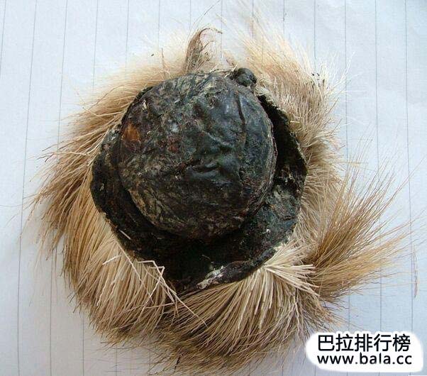 世界最贵中药材中医十大名贵药材排名榜