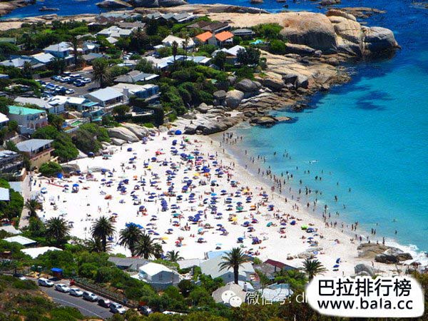 加州圣地亚哥分校的吉祥物是海神特里同,但在布列克海滩,熊才是吉祥