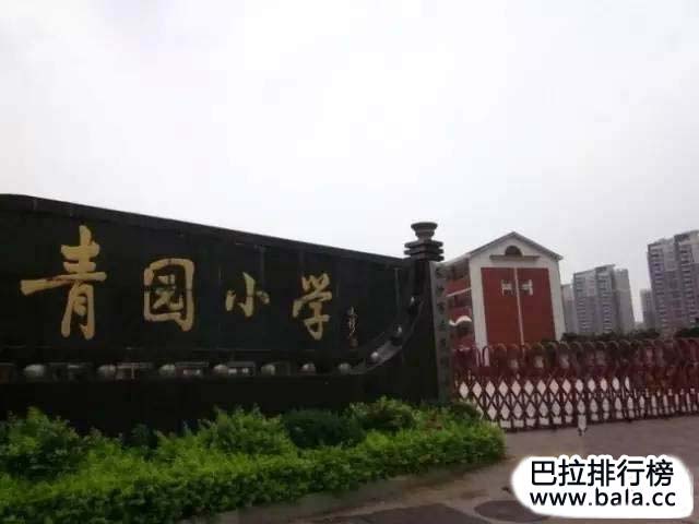 9,长沙市天心区青园小学