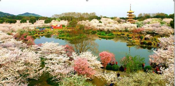 6,武汉东湖景区