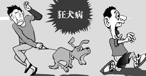 全球致死率最高的10大疾病,狂犬病排第一!
