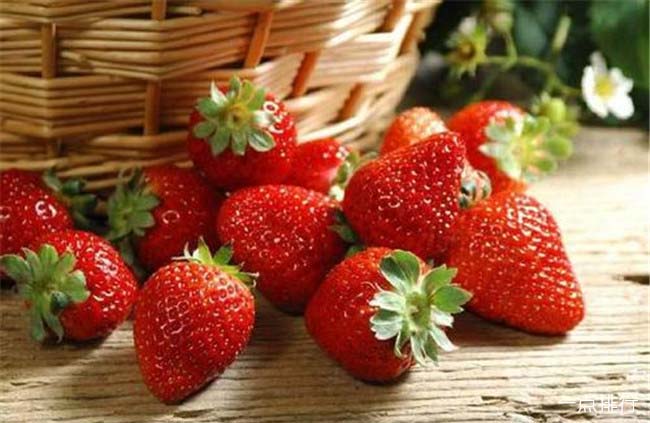 草莓‍