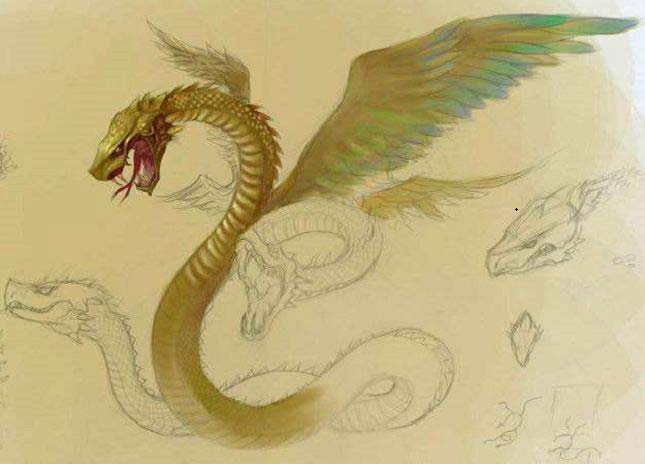 有四大神兽之外的"第五灵"甚至四灵之长的说法,『中央黄为土』就是