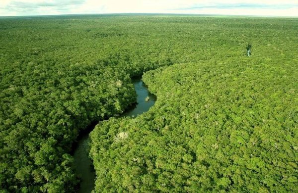 世界上最大的平原是哪一个？亚马逊平原
