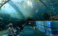 世界上最大的水族馆排名，中国有两处上榜