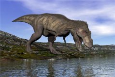 恐龙灭绝的十大原因，关于恐龙灭绝十大猜想