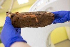 世界上最小的木乃伊，20周大的胎儿棺木