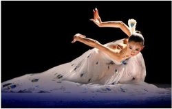 中国十大舞蹈家排名，杨丽萍位居第一宝座