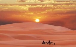 世界上最大的亚热带沙漠，撒哈拉沙漠极度干旱