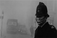 历史上最严重的雾霾事件，导致约12000人死亡