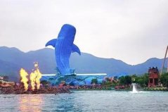 国内十大值得一去的海洋馆，香港海洋公园上榜