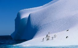 世界上最干旱的大洲：南极洲极度干旱和寒冷