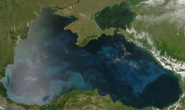 世界最恐怖的海洋：黑海没有任何生物的存在