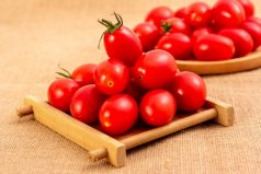 世界上最小的番茄是什么：千禧果营养价值丰富