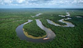 世界上最大的平原是哪里：亚马逊平原横跨南美四国