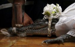 全球最惊世骇俗的新郎新娘，每场婚礼都让人想不到