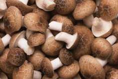 最好吃的十种蘑菇：金针菇上榜，羊肚菌居第九