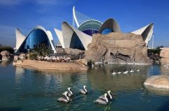 全球六个最大的水族馆，真是梦幻的“水世界”