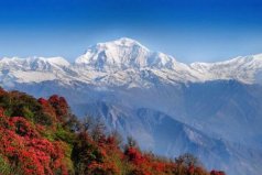 世界第七高峰是什么峰：道拉吉里峰海拔8167米
