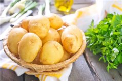 世界上最贵的土豆：一斤土豆250欧元