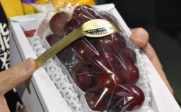 世界上最贵的葡萄诞生：浪漫红宝石一串130万日元