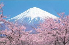 日本最美的自然风光：富士山夺冠，你去过几个？