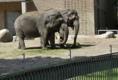 世界十大神奇的动物园：北京动物园入围，柏林动物园排榜首