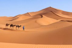 全球最大的沙漠排行榜前十名，撒哈拉沙漠稳居榜首