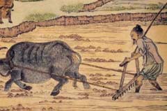 中国古代四大农书：《氾胜之书》是我国最早的一部农书