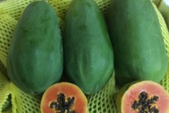 十大最甜木瓜品种，什么品种木瓜最甜最好吃？