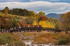 韩国旅游必去的十大景点：韩国必去的地方有哪些