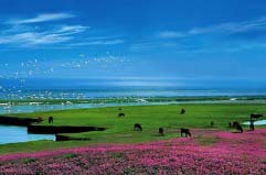 中国五大湖泊排行榜，鄱阳湖位列中国五大湖之首