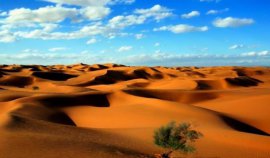 中国四大沙漠排名，塔克拉玛干沙漠占据第一名