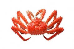 世界最贵十大螃蟹排行榜：老虎蟹垫底，帝王蟹夺冠