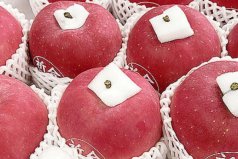 世界十大优质苹果品种，日本陆奥苹果夺得第一名