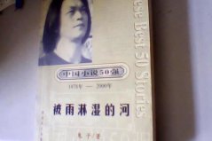 中国十大著名中篇小说，被雨淋湿的河排第一名