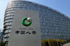 中国十大知名保险公司：中国平安居第二，中国人寿排榜首