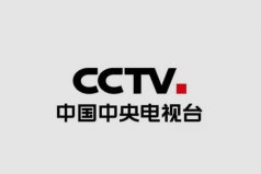 中国十大电视台品牌排行榜，中央电视台名列榜首