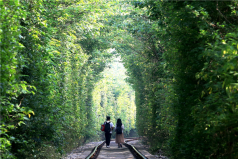 江苏抖音十大热门景点：灵山胜境上榜，爱情隧道排第一名