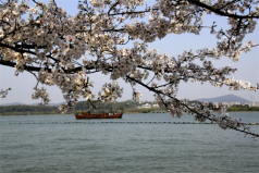 无锡十大最受欢迎景点：鼋头渚上榜，太湖位列第一