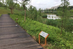 广州十大公园排行榜，大观湿地公园位列第一