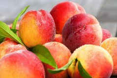 好吃的桃子品种有哪些？最受欢迎的十种桃子