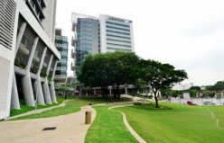 新加坡大学排名前十，新加坡国立大学位列第一