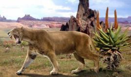 历史上最大的猫科动物，剑齿虎已经灭绝
