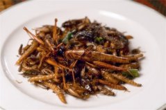 全球十大昆虫美食：活蝎子入榜，蝗虫排第一位